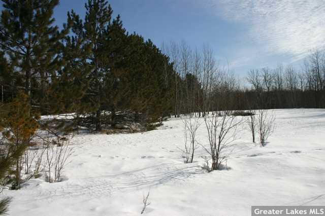 Tbd Floodwood River Road Hibbing, MN 55746 - Photo 1 of 1 Gallery Image 1