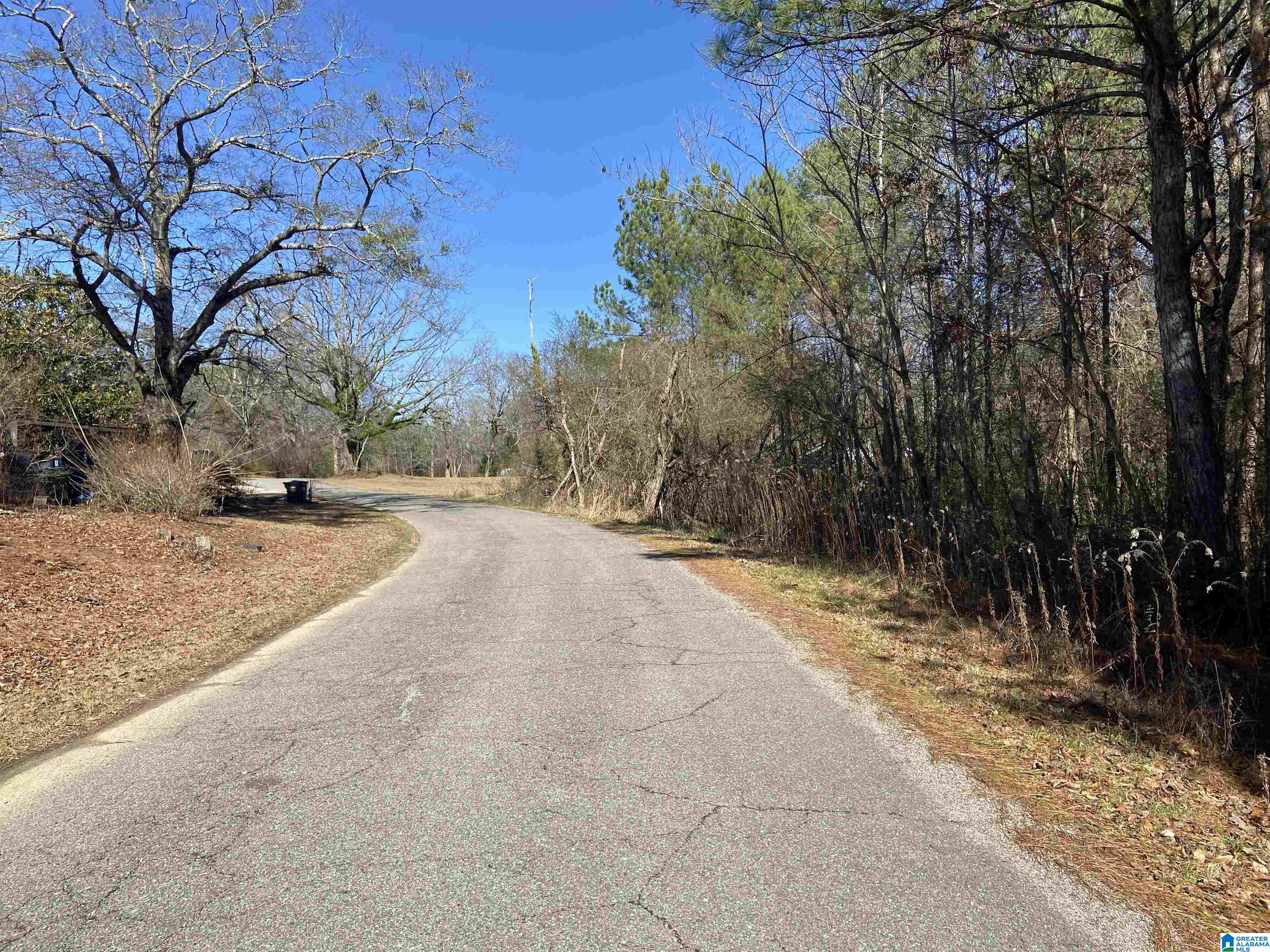7261 Bishop Road, Unit 10 ACRES Bessemer, AL 35022 - Photo 5 of 8