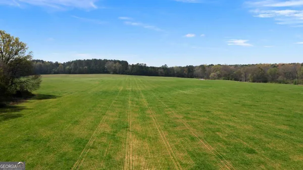 a view of a field with an ocean