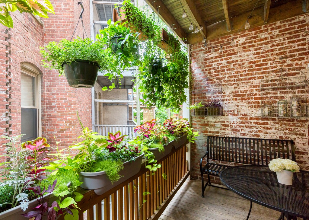 12 Colbourne Crescent, Unit 1 Brookline, MA 02445 - Photo 29 of 30