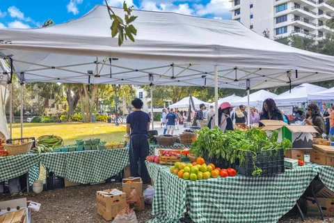 $1,095,000 | 1002 East Robinson Street, Orlando, FL 32801