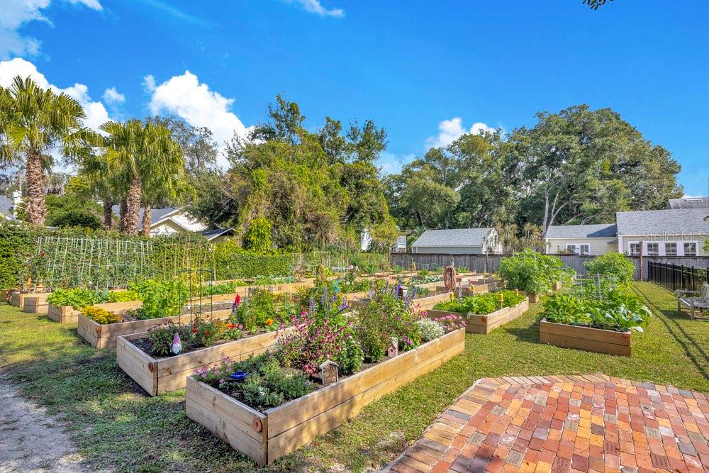 1002 East Robinson Street Orlando, FL 32801 - Photo 47 of 56