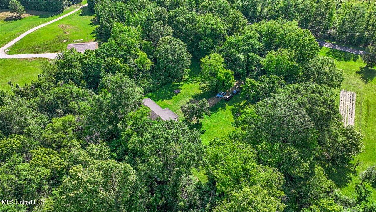 3515 Johnson Line Road Bolton, MS 39041 - Photo 60 of 63 59-3515 Johnson Line Rd