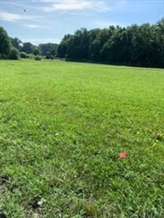 6-acres Fowler Road Westfield, MA 01085 - Photo 5 of 6 Gallery Image 5
