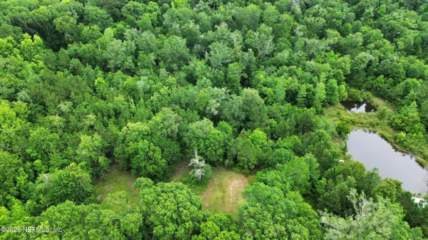 a view of a lush green forest with trees and some houses