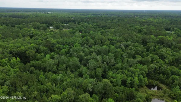 a view of a lush green forest with lots of trees