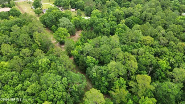 a view of a lush green forest with lots of trees