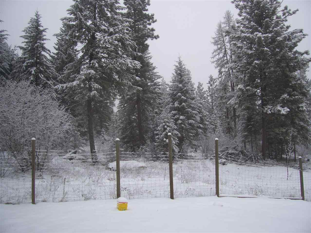 1342 Diamond View Road Newport, WA 99156 - Photo 11 of 13 Gallery Image 11