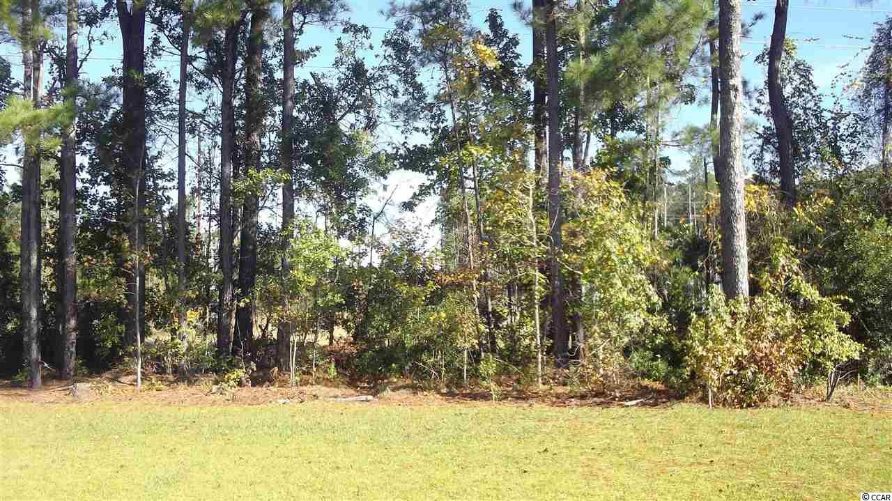 752 Shenanigan Loop Murrells Inlet, SC 29576 - Photo 15 of 16 Gallery Image 15