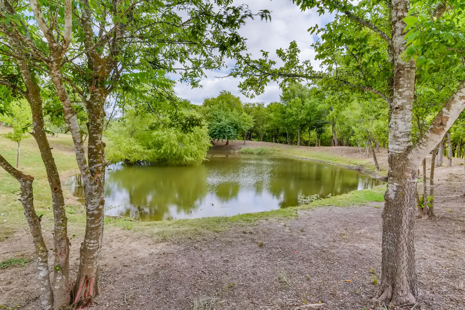 335 Mistletoe Lane Kyle, TX 78640 - Photo 40 of 40
