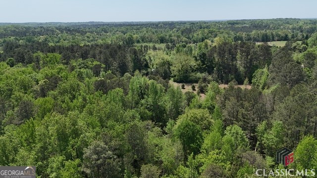 0 Moore Road Elberton, GA 30635 - Photo 41 of 67