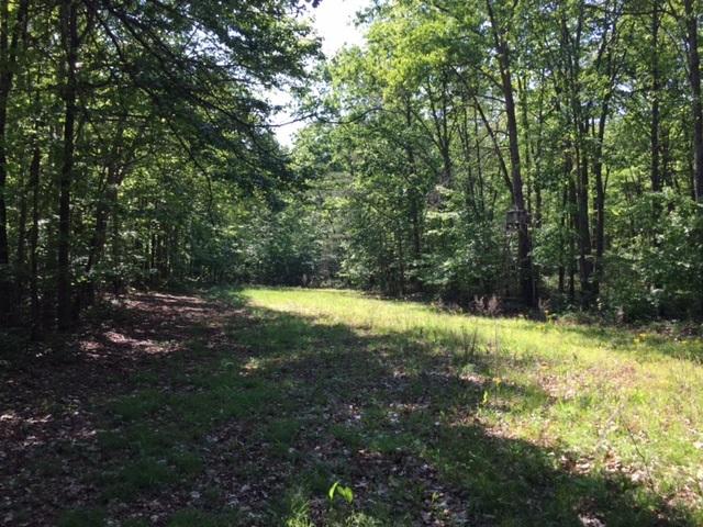 23.9 Stagecoach Road Sewanee, TN 37375 - Photo 1 of 3 IMG_4563