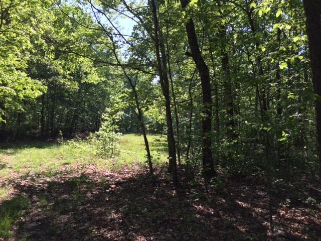 23.9 Stagecoach Road Sewanee, TN 37375 - Photo 2 of 3 IMG_4566