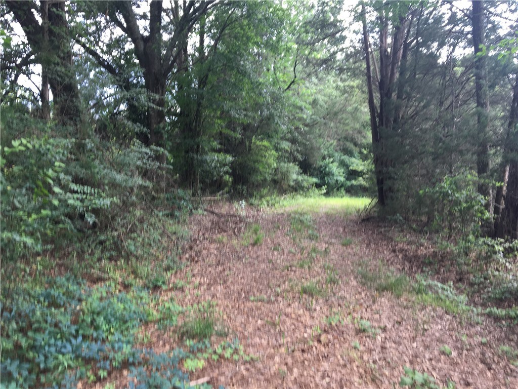 56 Bowen Ford Road Iva, SC 29655 - Photo 2 of 3