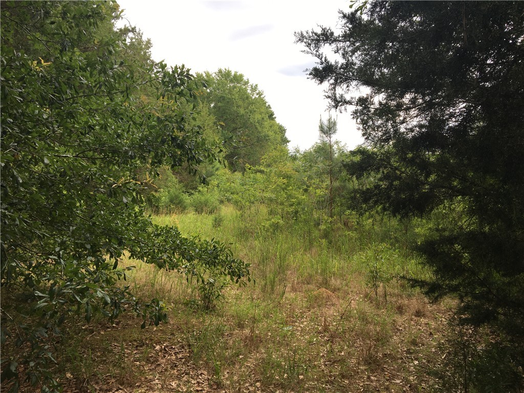 56 Bowen Ford Road Iva, SC 29655 - Photo 3 of 3