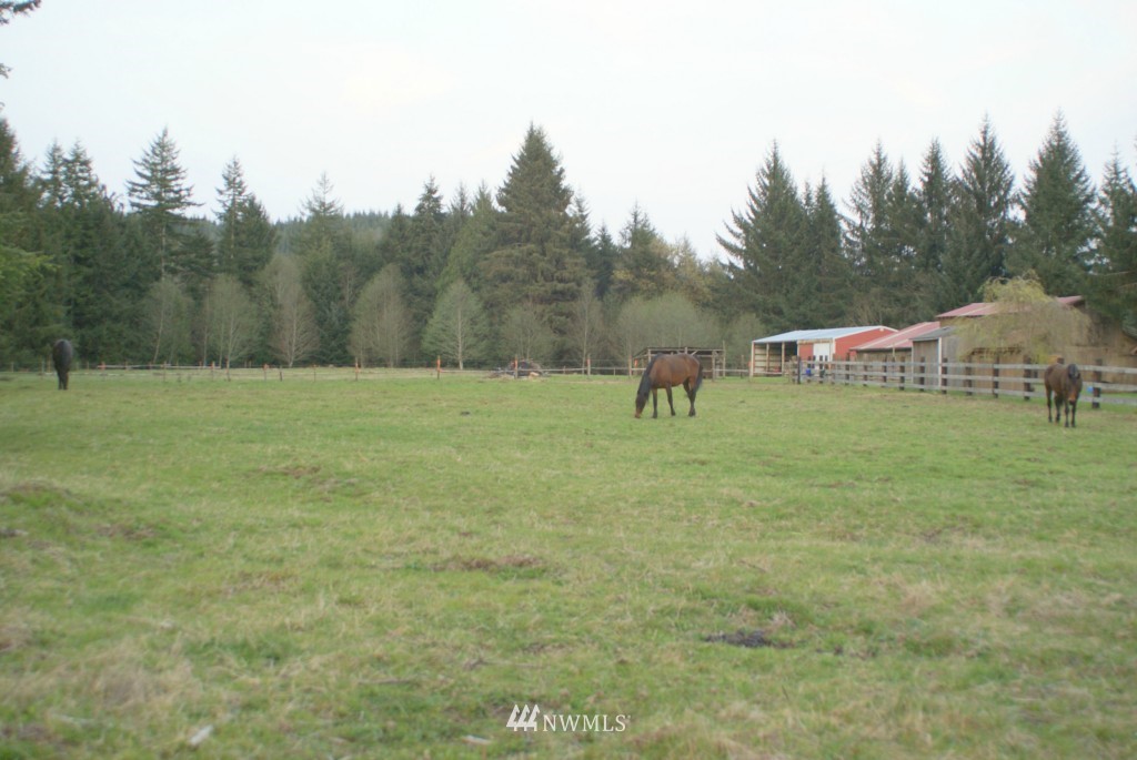 164 North River Road Cosmopolis, WA 98537 - Photo 14 of 25 Gallery Image 14