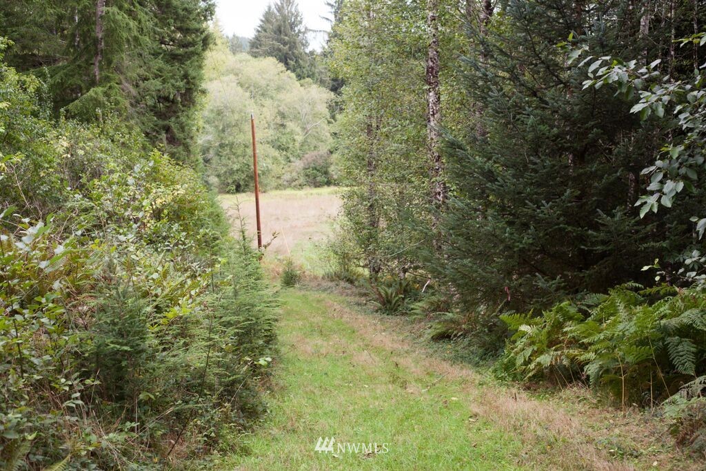 164 North River Road Cosmopolis, WA 98537 - Photo 22 of 25 Gallery Image 22