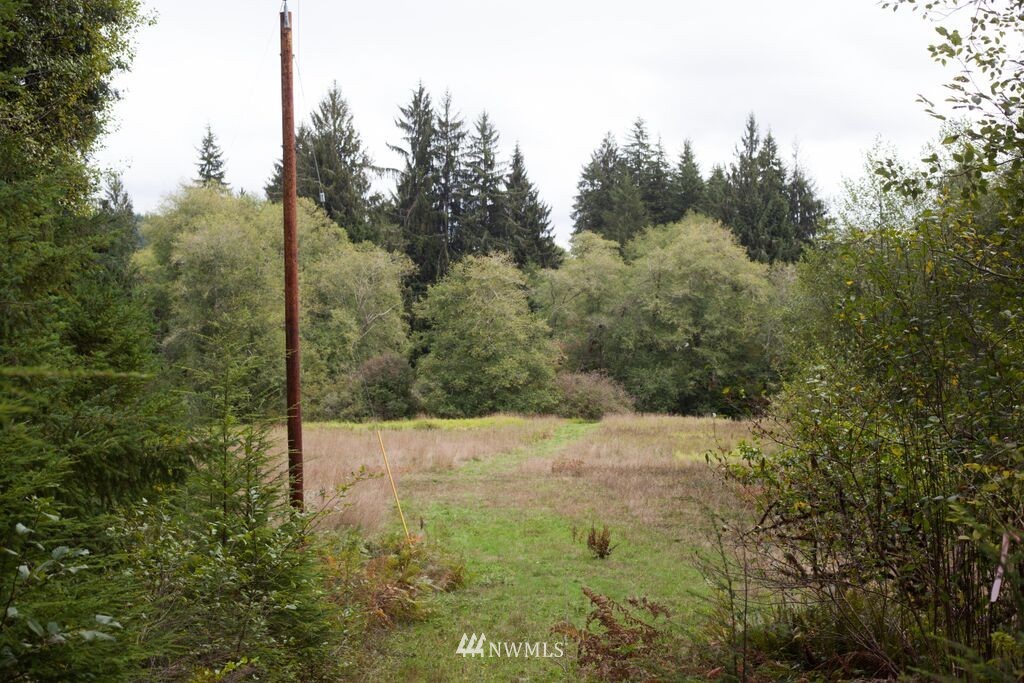 164 North River Road Cosmopolis, WA 98537 - Photo 23 of 25 Gallery Image 23
