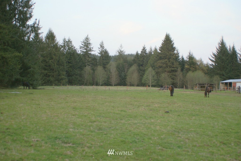 164 North River Road Cosmopolis, WA 98537 - Photo 4 of 25 Gallery Image 4