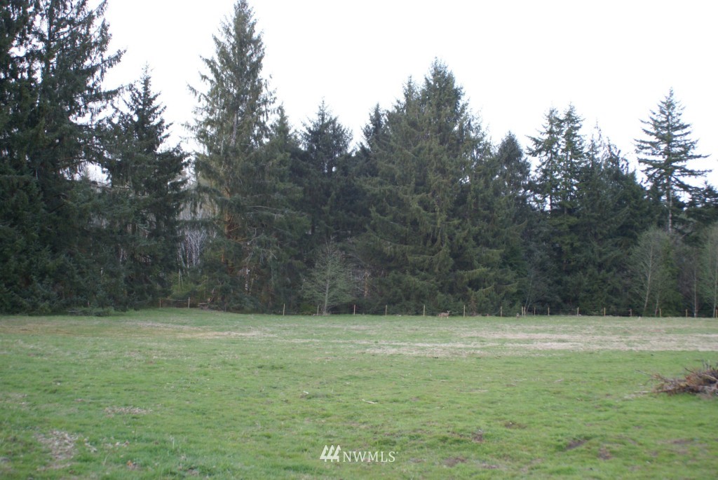 164 North River Road Cosmopolis, WA 98537 - Photo 8 of 25 Gallery Image 8