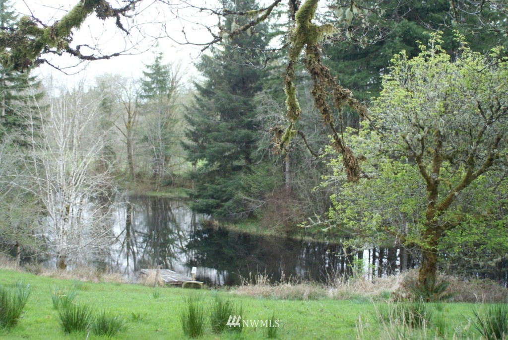 164 North River Road Cosmopolis, WA 98537 - Photo 10 of 25 Gallery Image 10