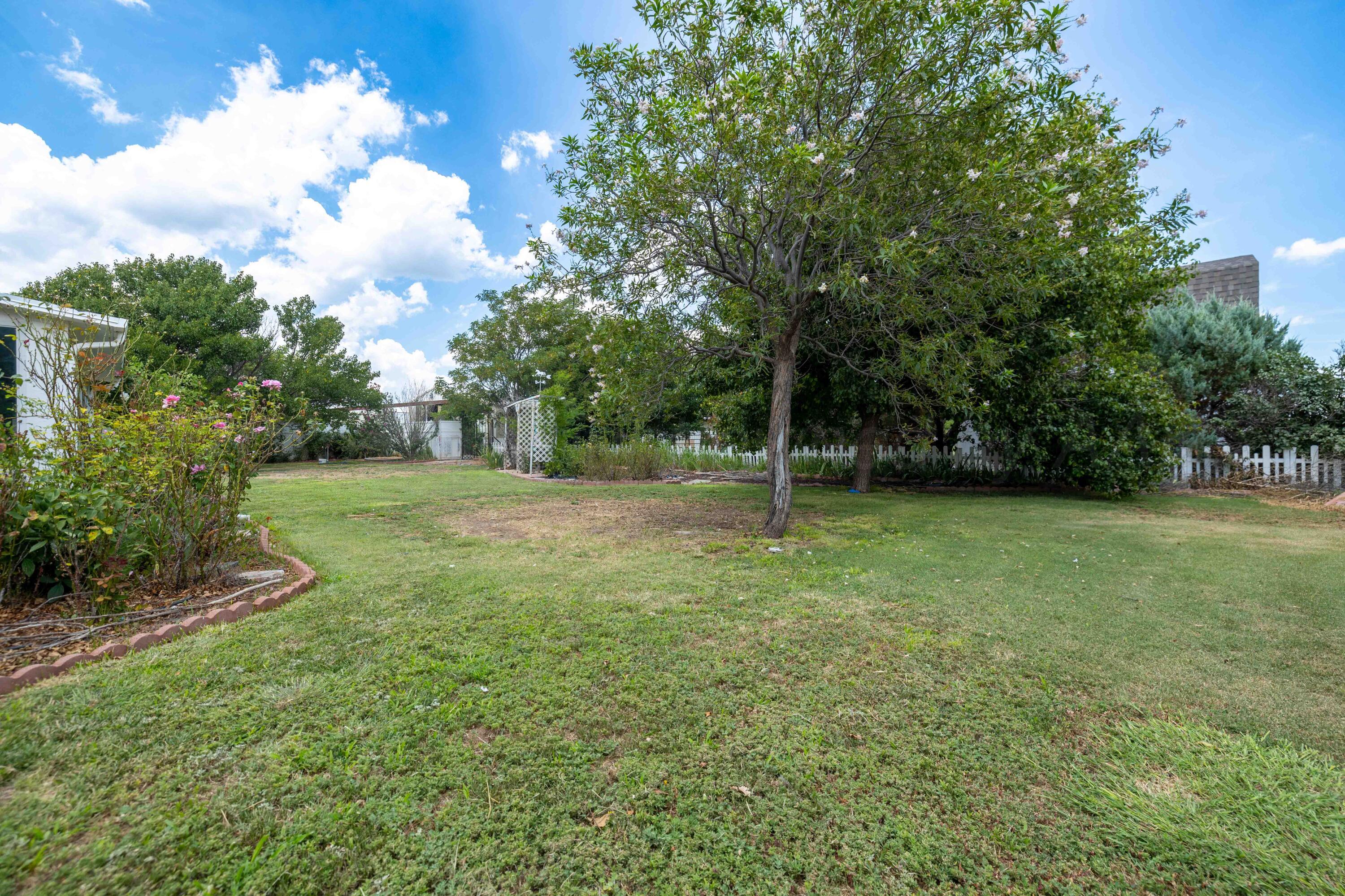 19946 Laramie Drive Amarillo, TX 79124 - Photo 38 of 50 19946 Laramie Exterior-15