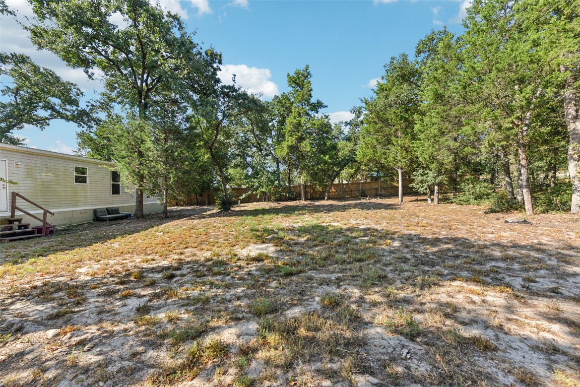 144 Los Arcos Road Elgin, TX 78621 - Photo 10 of 11 a backyard of a house with lots of green space