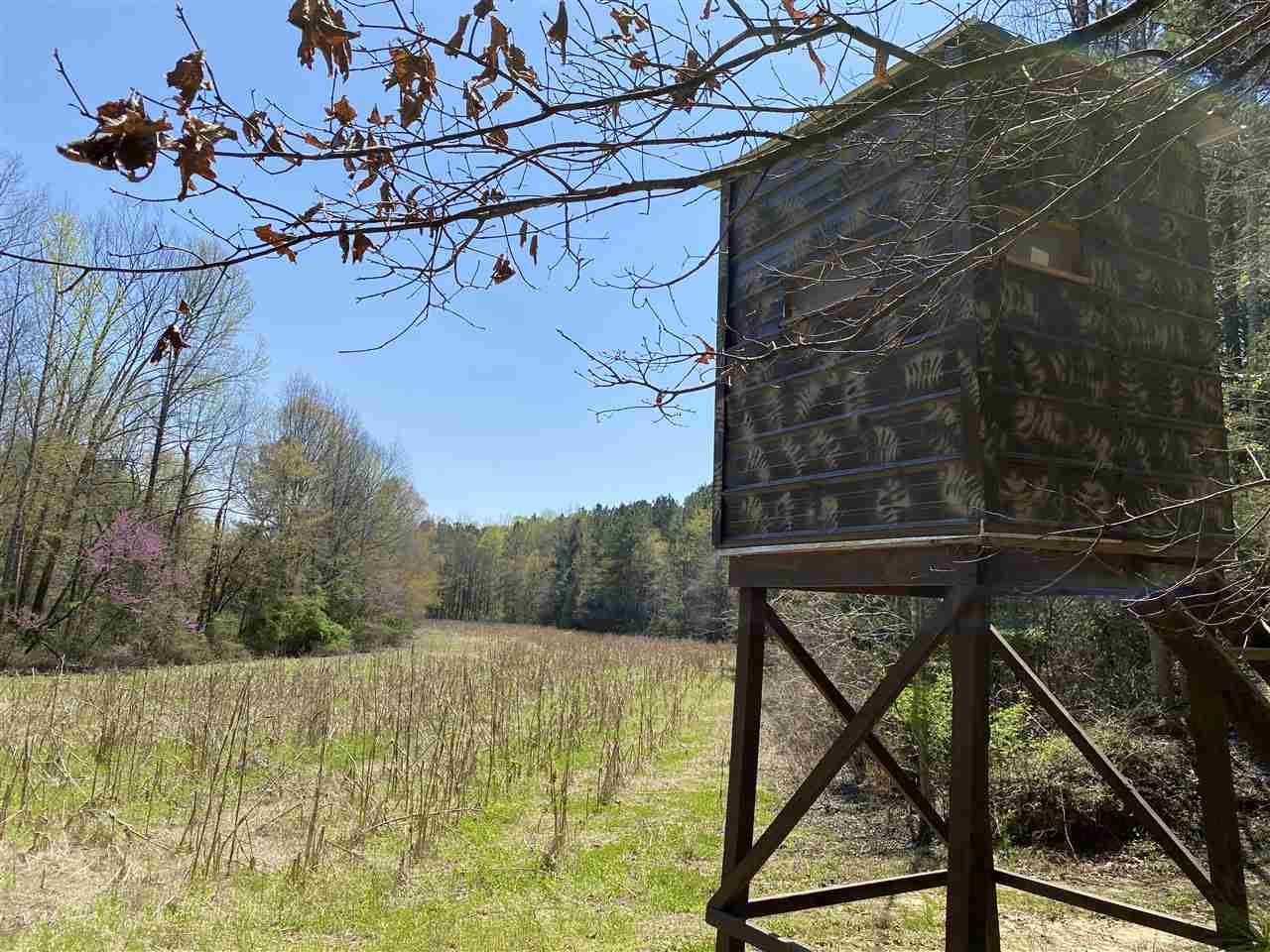 1960 Lancaster Road Enville, TN 38332 - Photo 3 of 25
