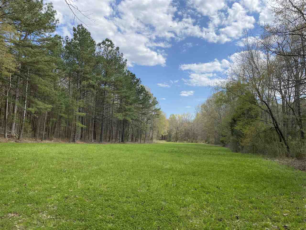 1960 Lancaster Road Enville, TN 38332 - Photo 25 of 25