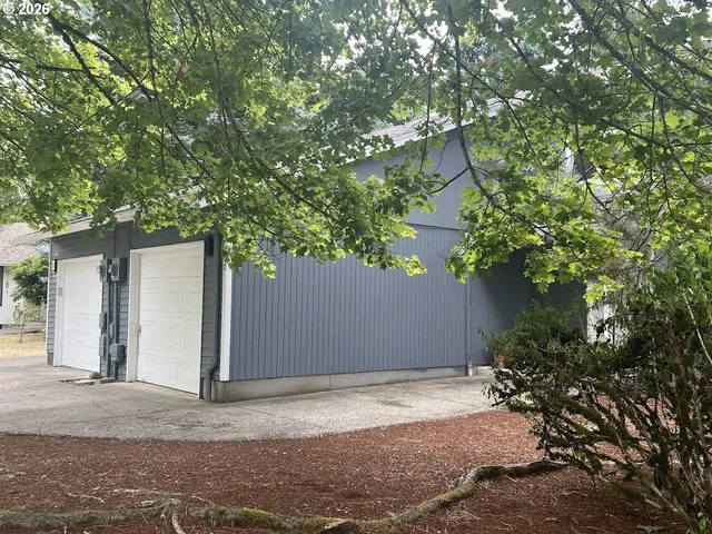 a house with a tree in front of it