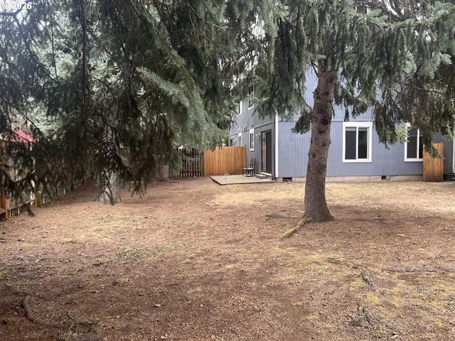 a tree in front of a white house