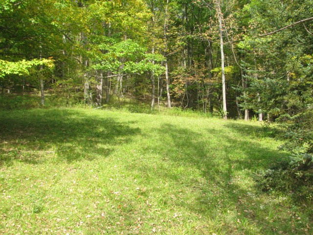 1499 Fall Creek Road Canisteo, NY 14823 - Photo 1 of 1 Gallery Image 1