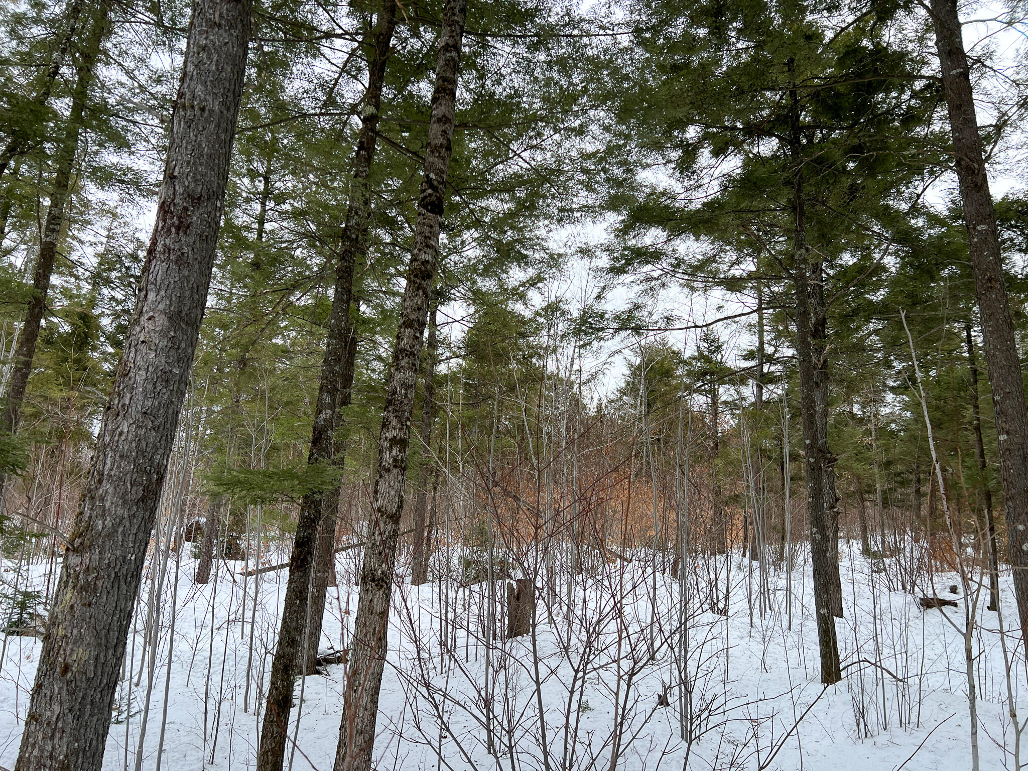 L25 River Road Lagrange, ME 04453 - Photo 9 of 29 IMG_3980