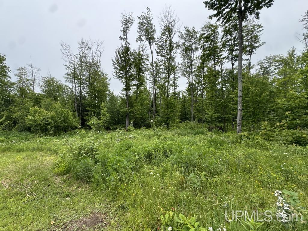 13318 Cadeau Road Baraga, MI 49908 - Photo 15 of 16