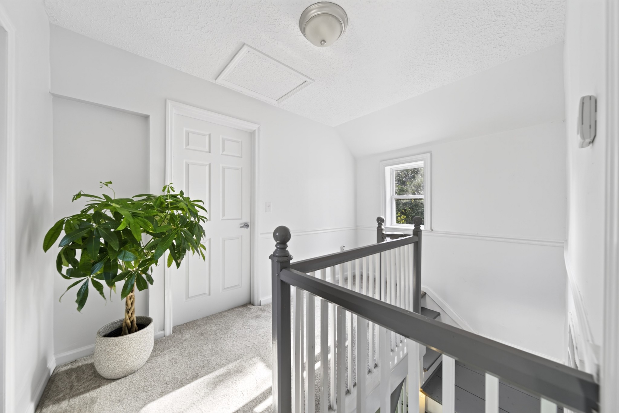 3798 McCandless Road Columbia, TN 38401 - Photo 63 of 98