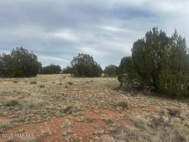Lot 382-ne Gable Road Seligman, AZ 86337 - Photo 7 of 9 IMG_8791