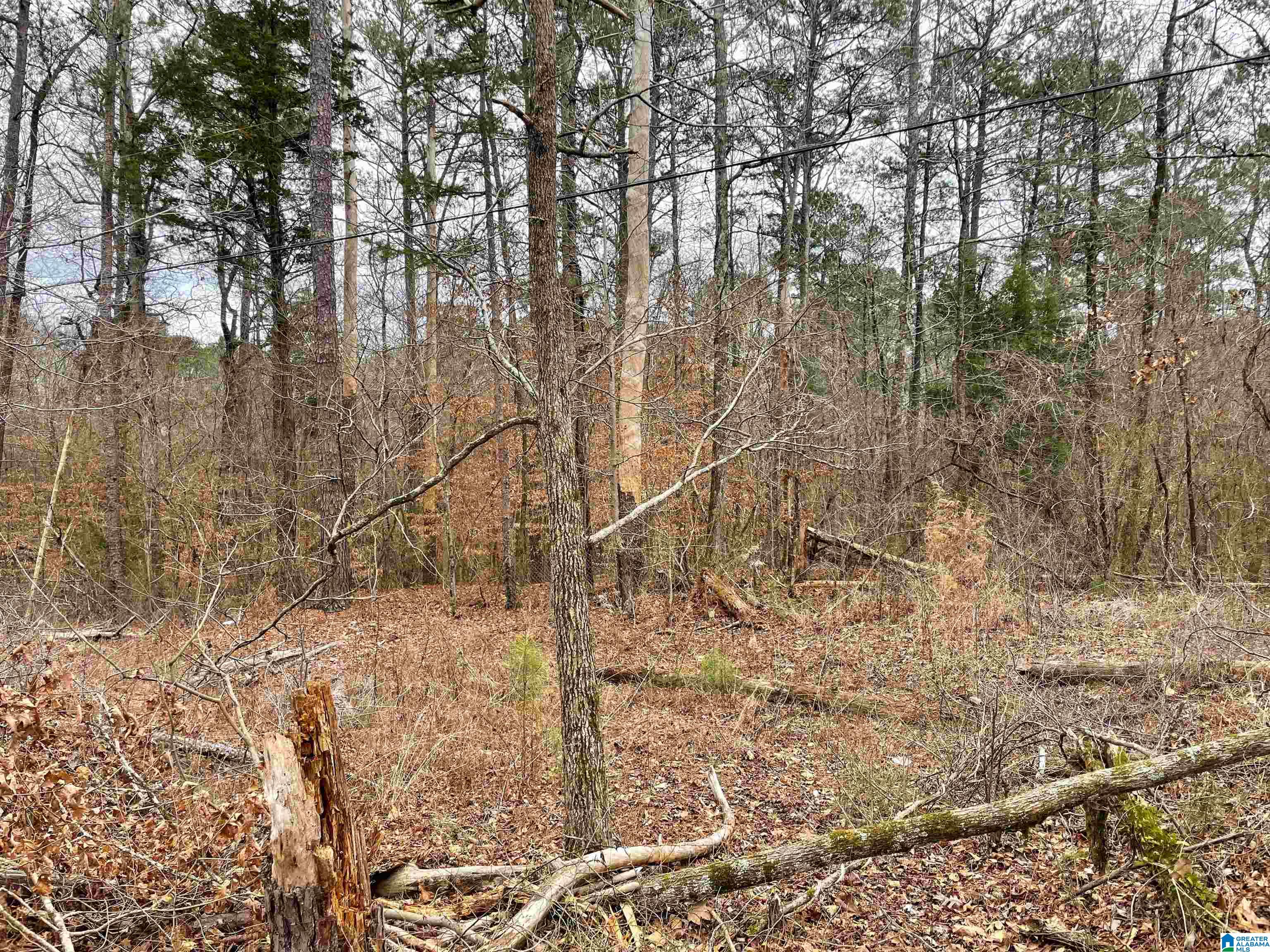 0 Clevet Springs Road, Unit 2 24 ACRES Hayden, AL 35079 - Photo 2 of 8