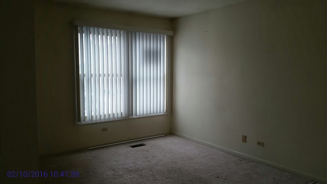 14736 Pine Tree Road, Unit 462 Orland Park, IL 60462 - Photo 8 of 16