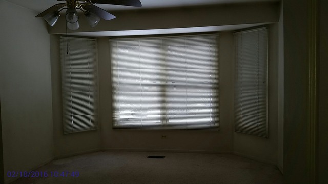 14736 Pine Tree Road, Unit 462 Orland Park, IL 60462 - Photo 9 of 16