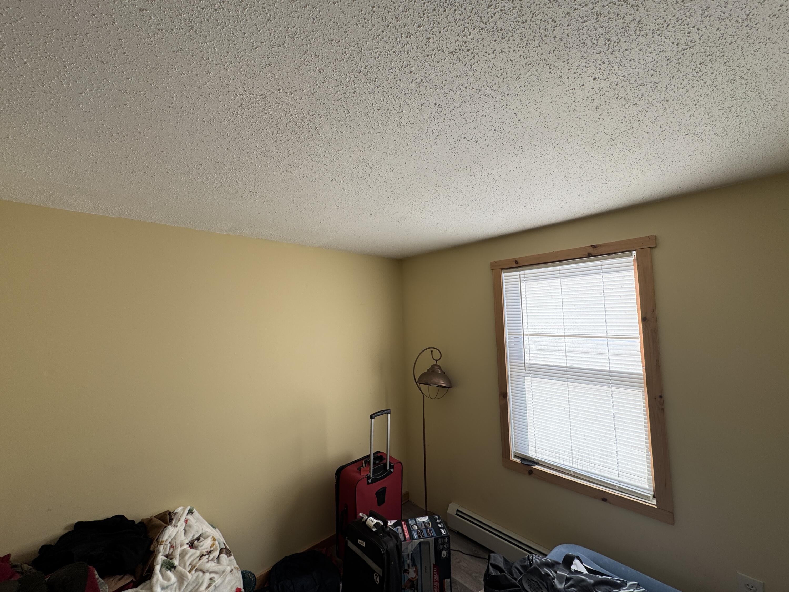 919 Shin Pond Road Mount Chase, ME 04765 - Photo 13 of 26 IMG_9173