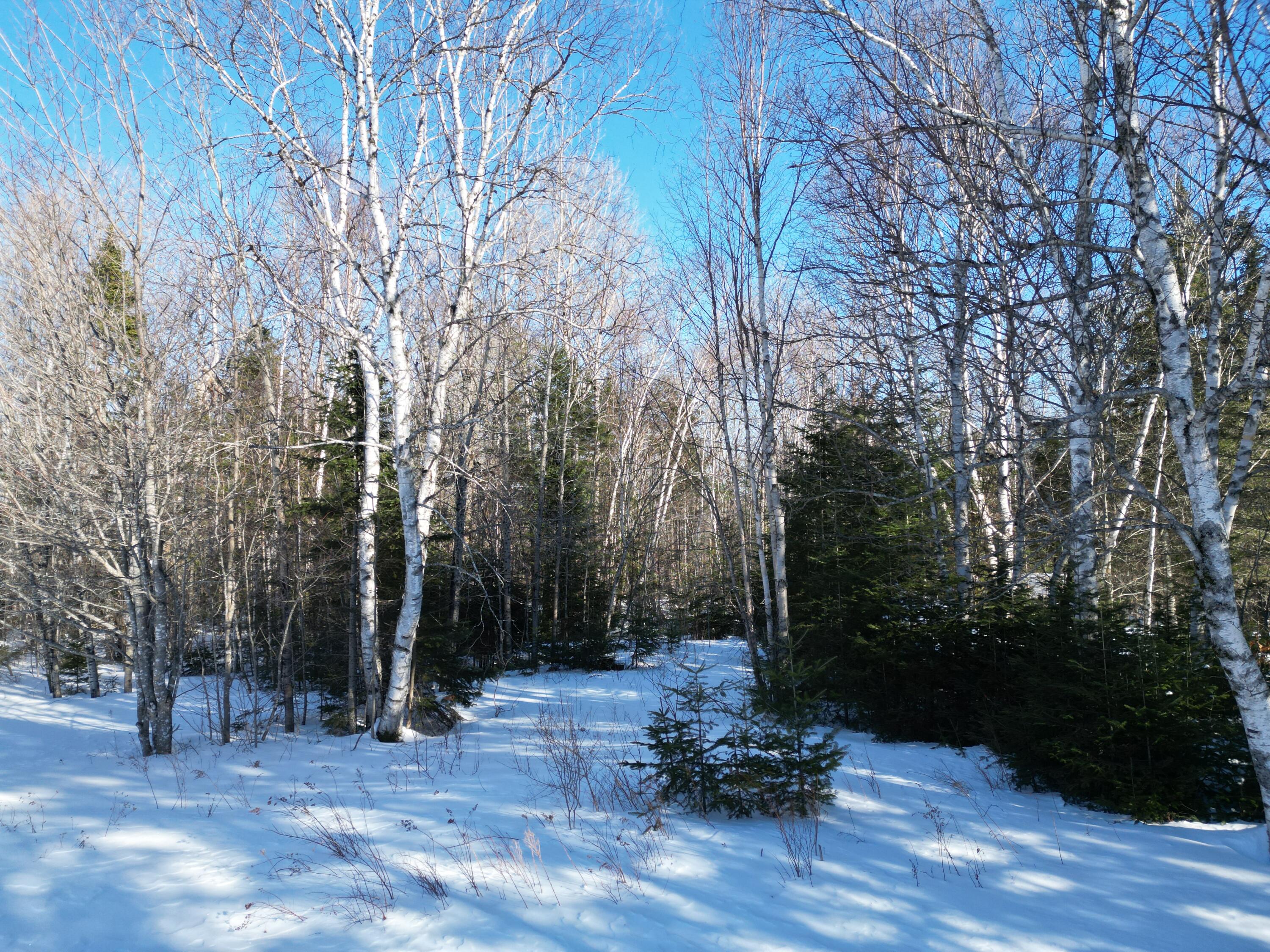 919 Shin Pond Road Mount Chase, ME 04765 - Photo 23 of 26 DJI_0060