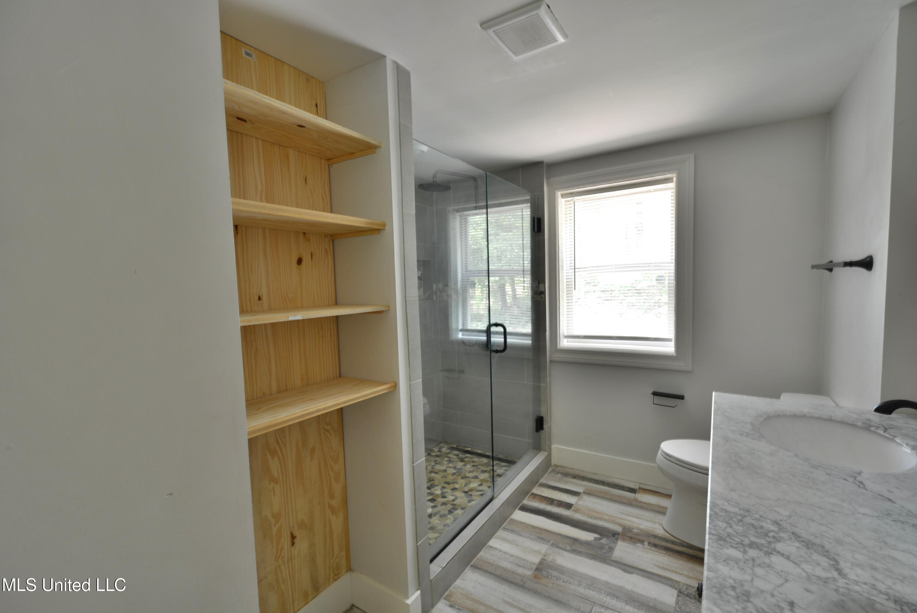 3490 Sherrod Road Nesbit, MS 38651 - Photo 19 of 29 Primary bath