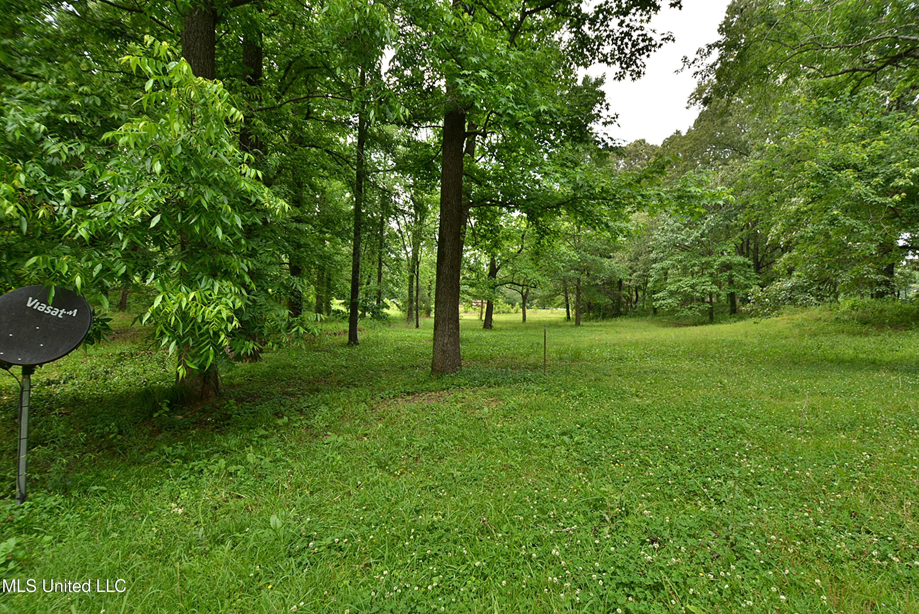 3490 Sherrod Road Nesbit, MS 38651 - Photo 28 of 29 Side yard left