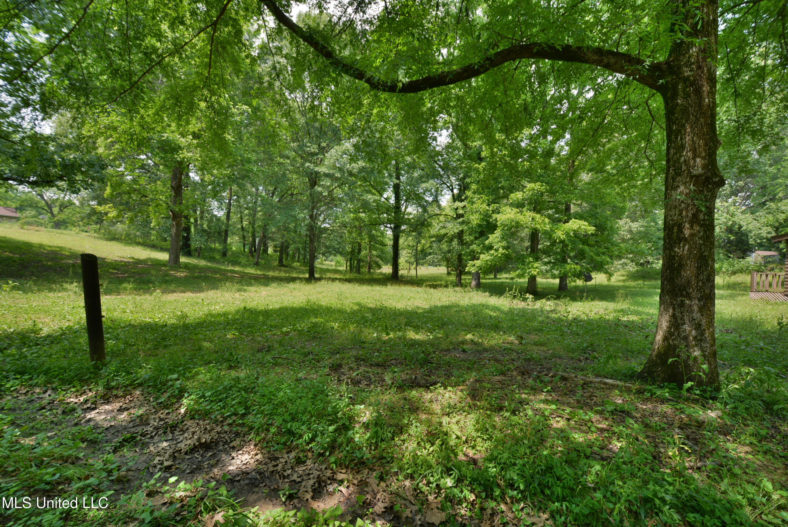 3490 Sherrod Road Nesbit, MS 38651 - Photo 4 of 29 Front Yard 2