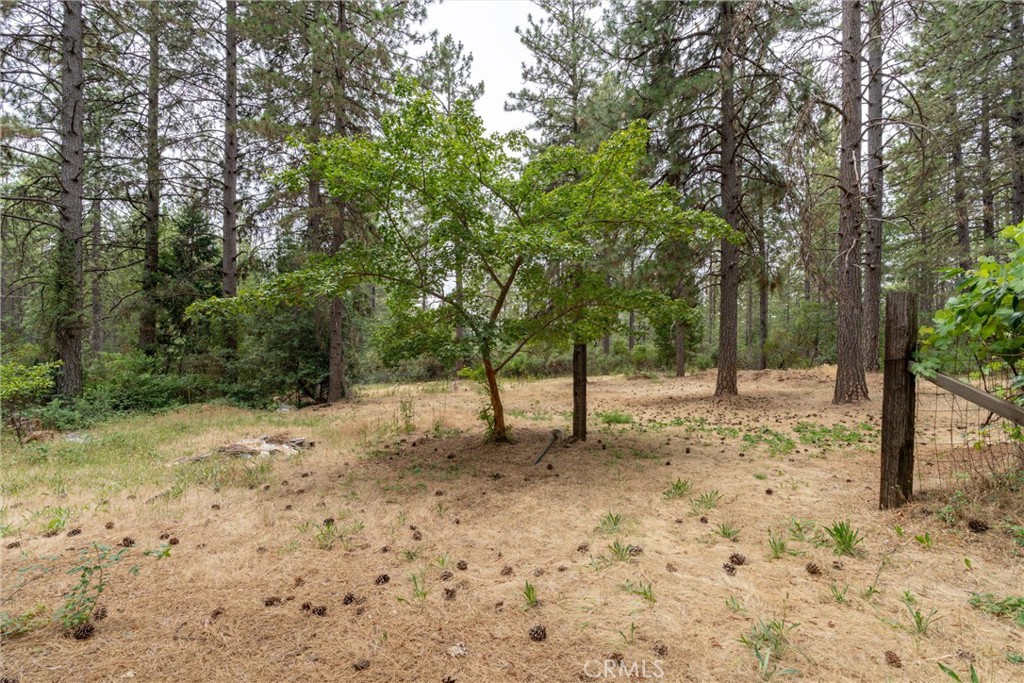 15184 Siwini Road Forest Ranch, CA 95942 - Photo 48 of 75