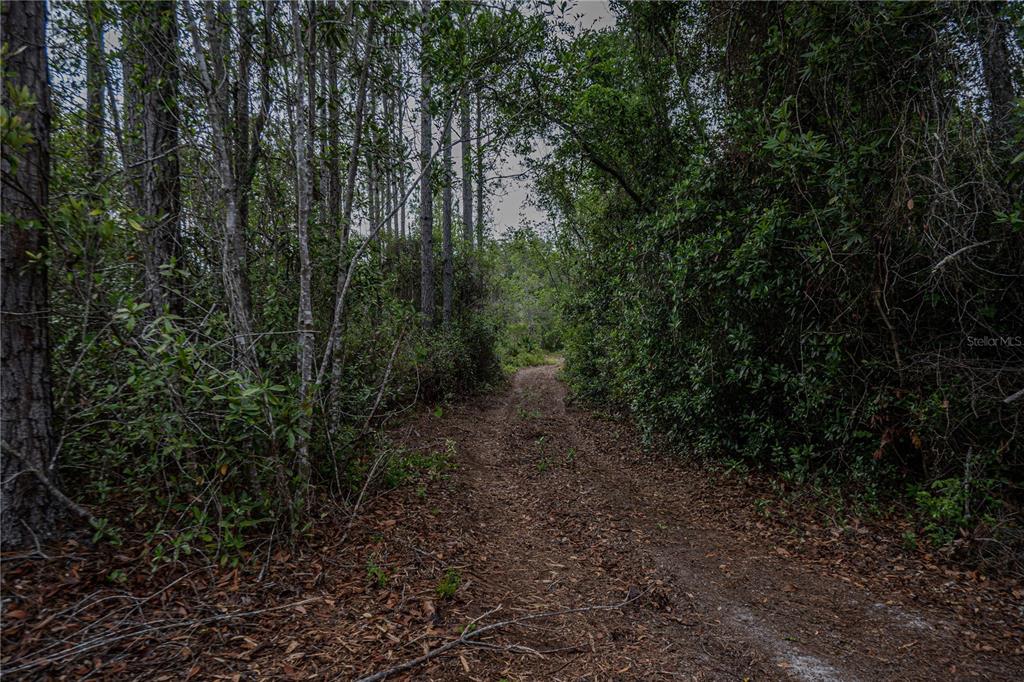 Northeast 150th Avenue Road Fort McCoy, FL 32134 - Photo 36 of 48 Gallery Image 36