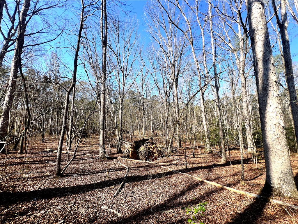 0 Simpson Road Belton, SC 29627 - Photo 16 of 18