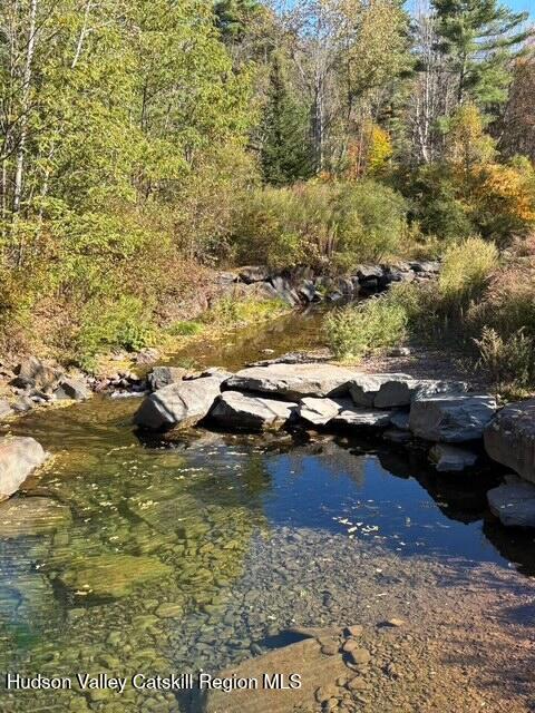 0 Peck Road Maplecrest, NY 12454 - Photo 9 of 11 8