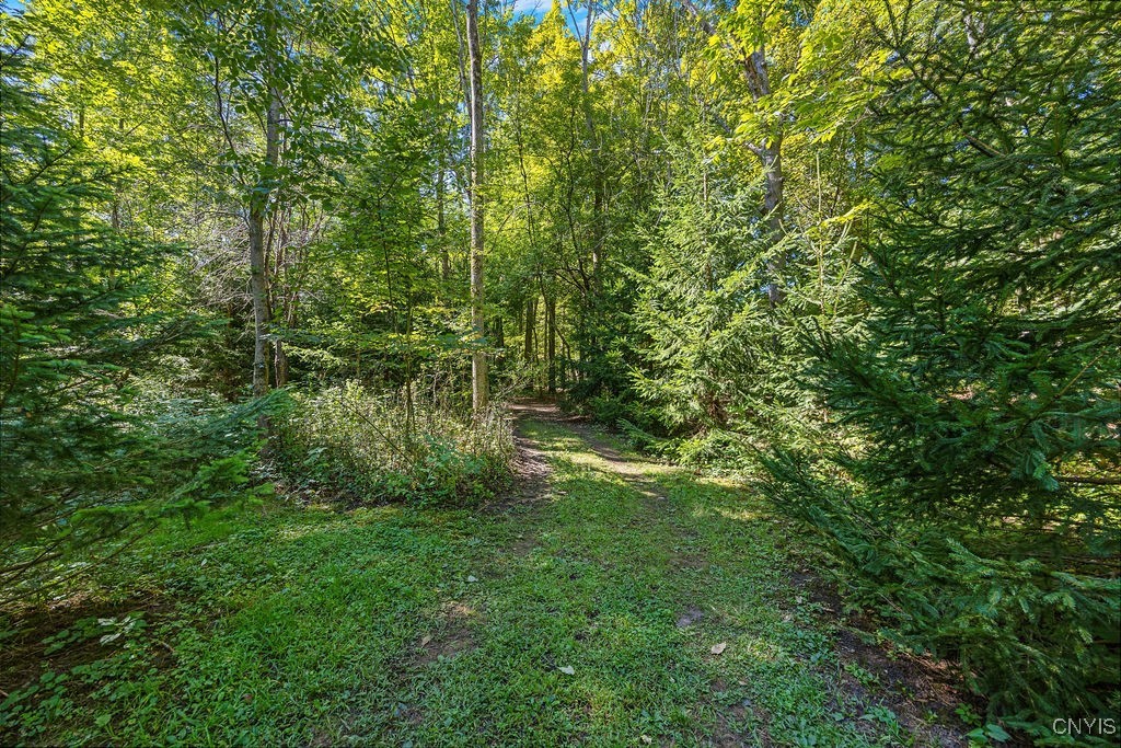 2a Pompey Center Road Manlius, NY 13104 - Photo 11 of 14