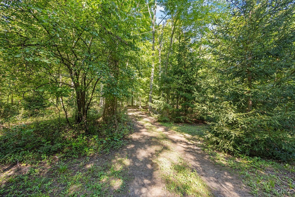 2a Pompey Center Road Manlius, NY 13104 - Photo 12 of 14